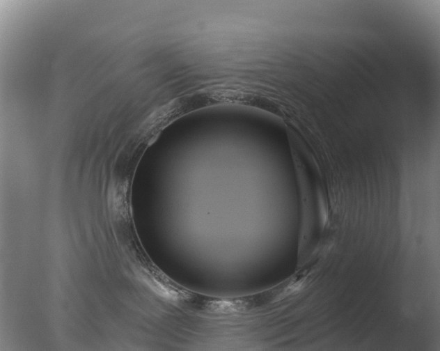 X0000077350239200610271836