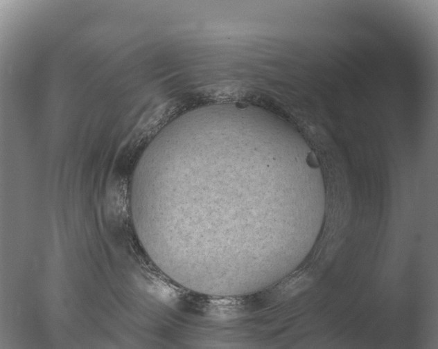 X0000077350240200610271836