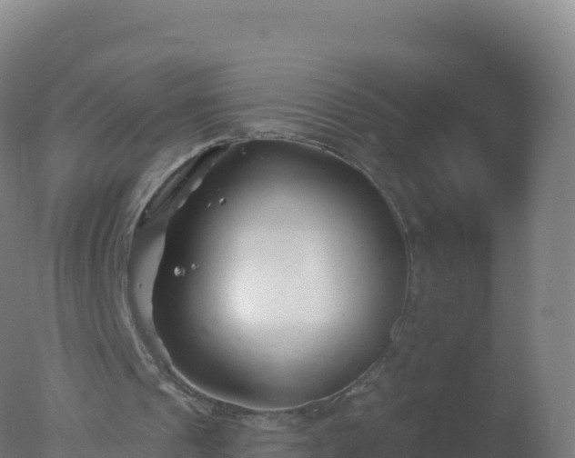 X0000077350241200610271835