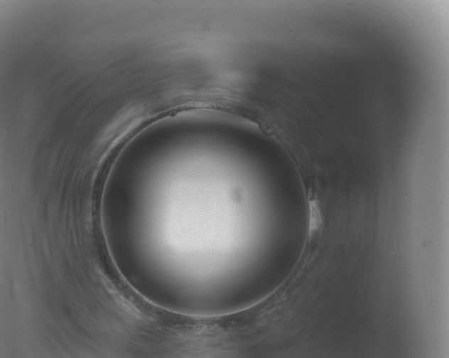 X0000077350243200610271835