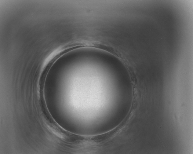 X0000077350246200610271835