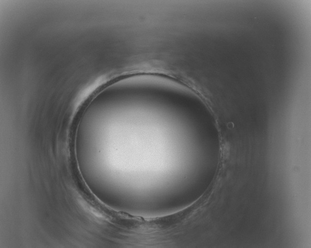 X0000077350248200610271835