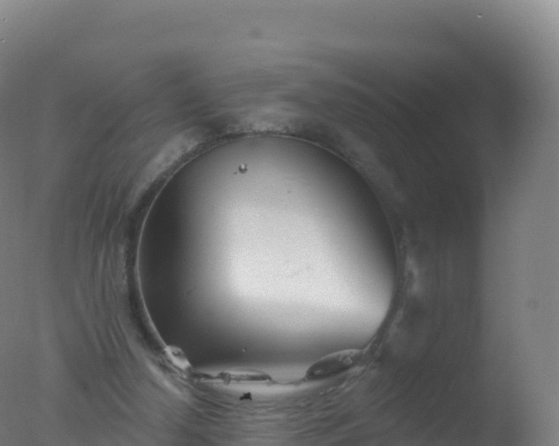 X0000077350250200610271836