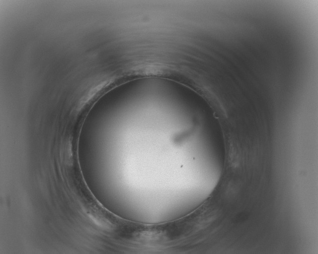 X0000077350251200610271836