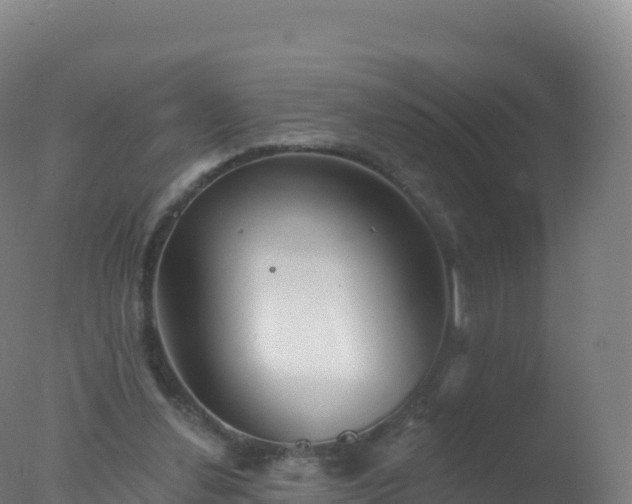 X0000077350252200610271836