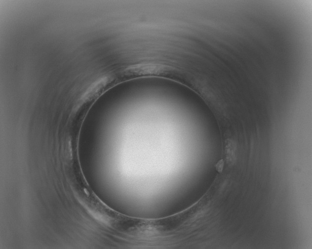 X0000077350254200610271836