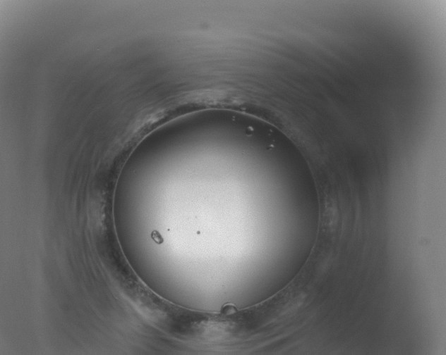 X0000077350255200610271836