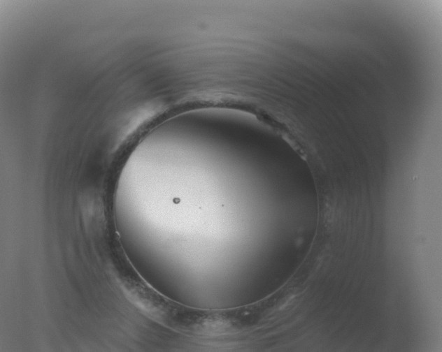 X0000077350256200610271836