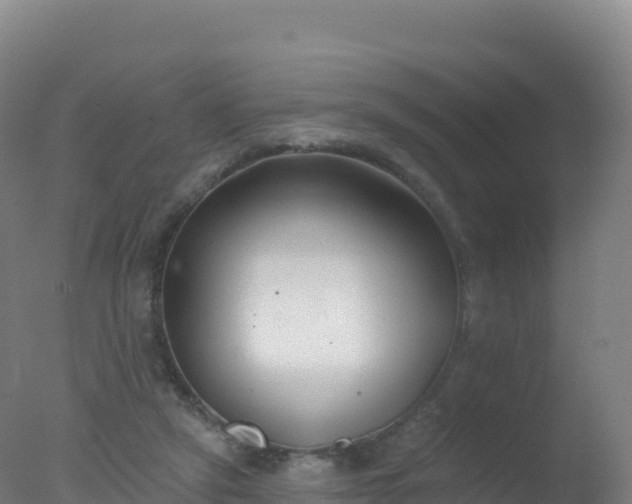 X0000077350257200610271836