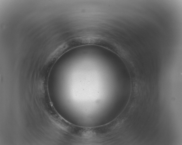 X0000077350258200610271836