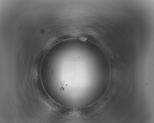 X0000077350259200610271836