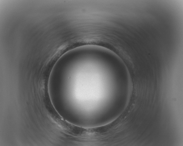 X0000077350260200610271836