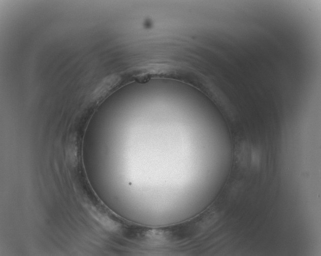 X0000077350261200610271836