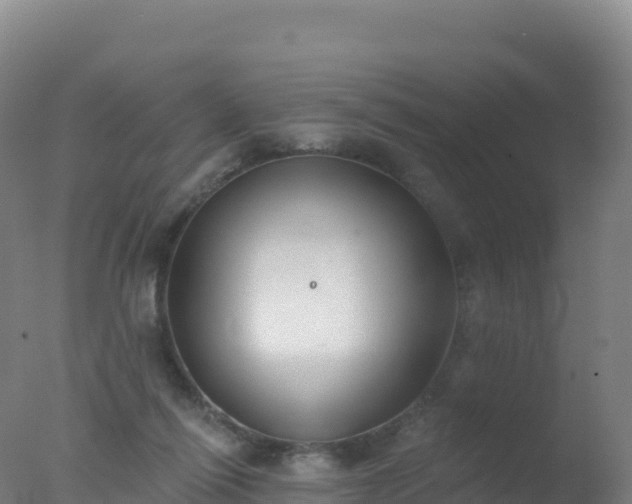 X0000077350262200610271836