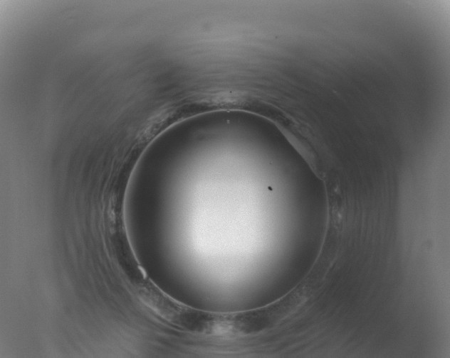 X0000077350264200610271836