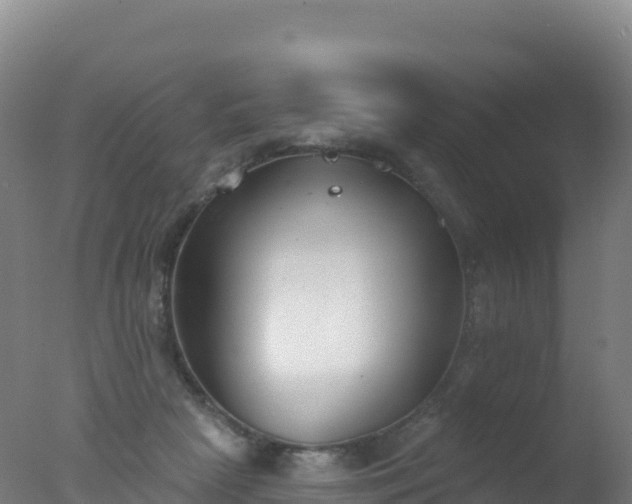 X0000077350265200610271836