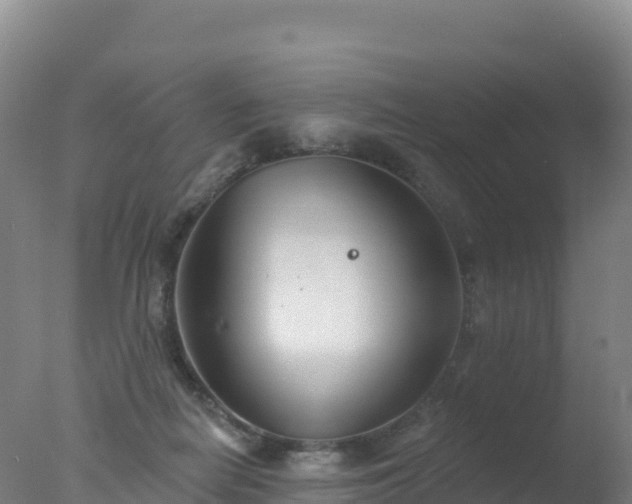 X0000077350266200610271836