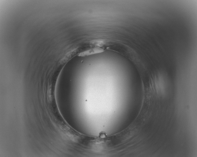 X0000077350267200610271836