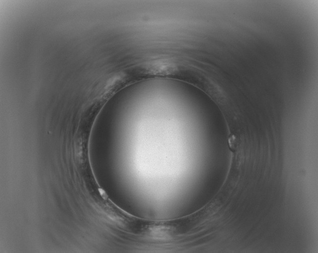 X0000077350268200610271836