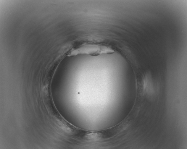 X0000077350269200610271836