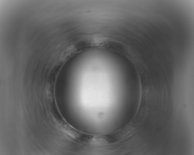 X0000077350270200610271836