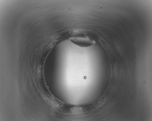 X0000077350271200610271836