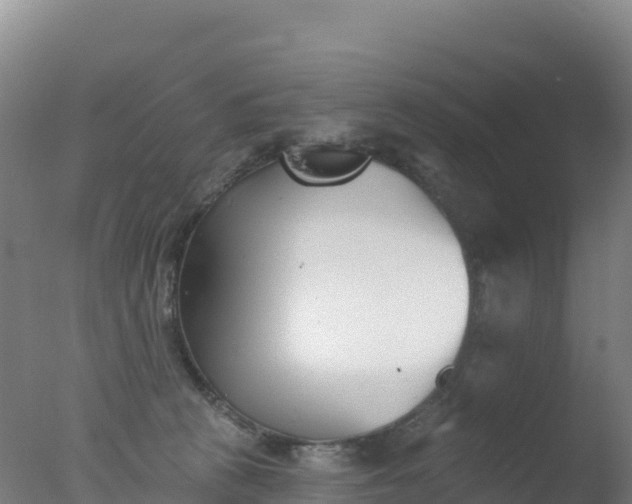 X0000077350273200610271836