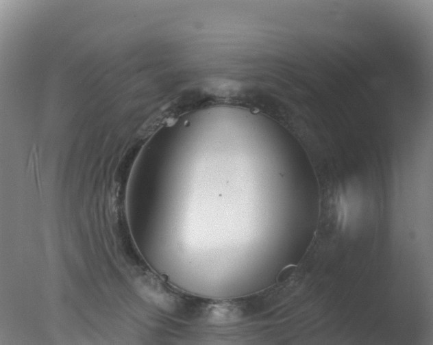 X0000077350275200610271836