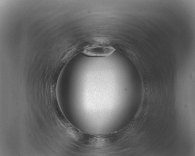 X0000077350276200610271836