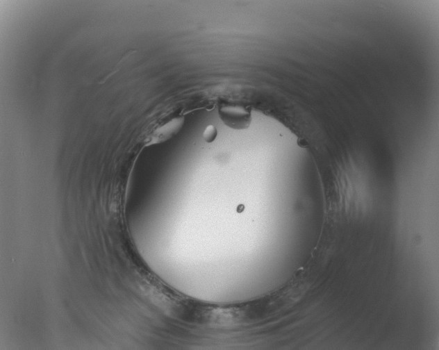 X0000077350277200610271836