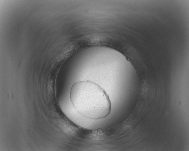 X0000077350278200610271836