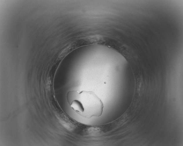 X0000077350279200610271836