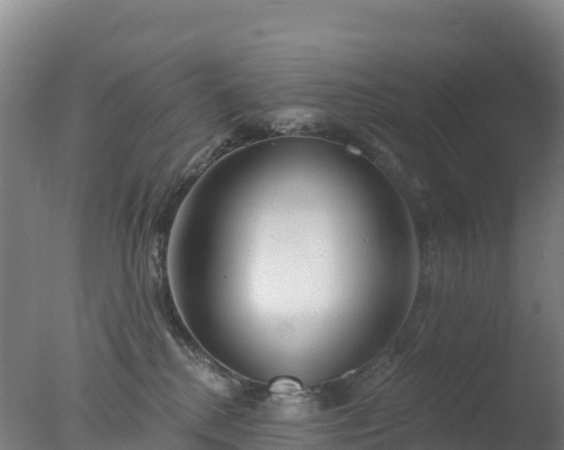 X0000077350280200610271836