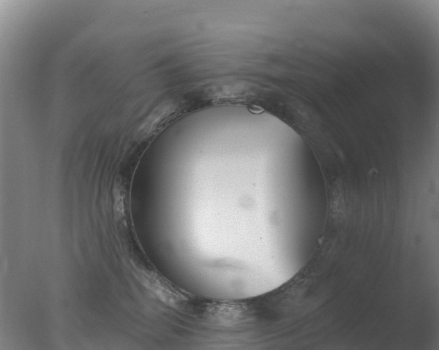 X0000077350282200610271836