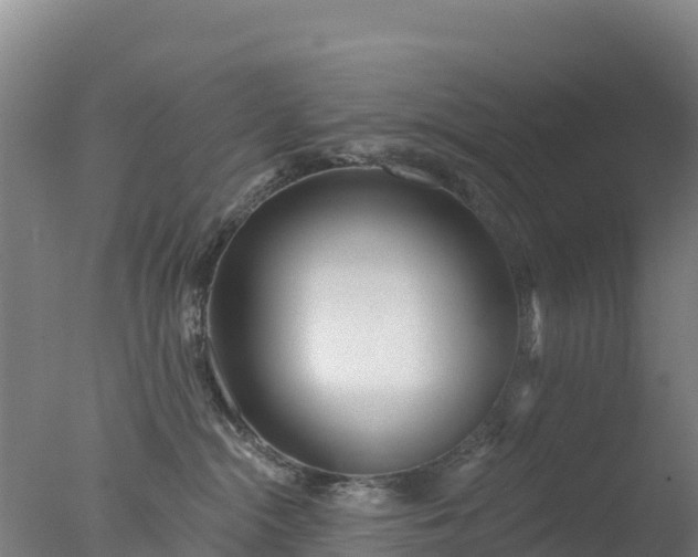 X0000077350284200610271836