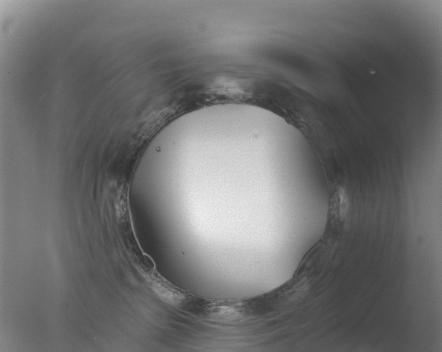 X0000077350285200610271836