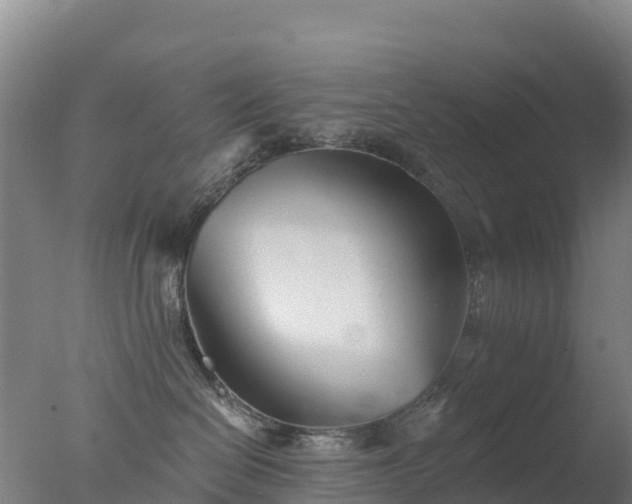 X0000077350286200610271836