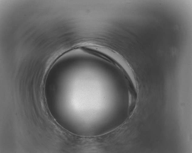 X0000077350289200610271835