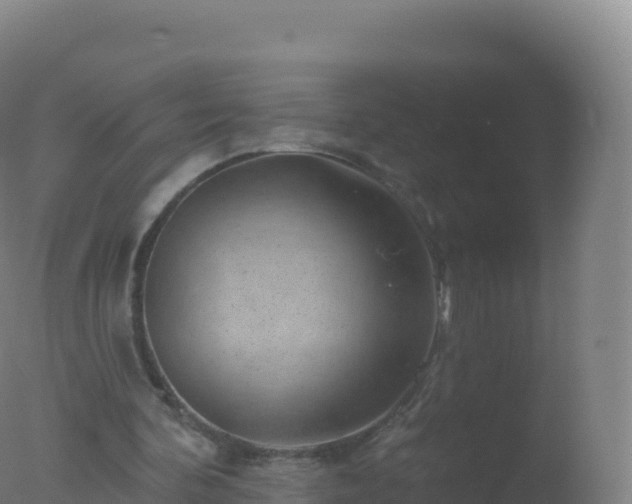 X0000077350292200610271835