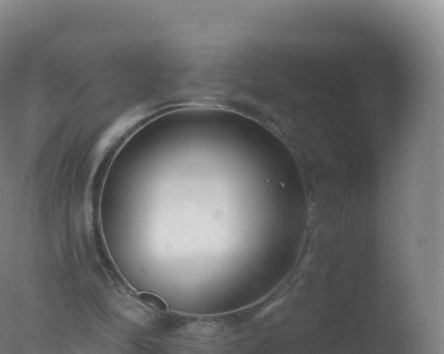 X0000077350294200610271835