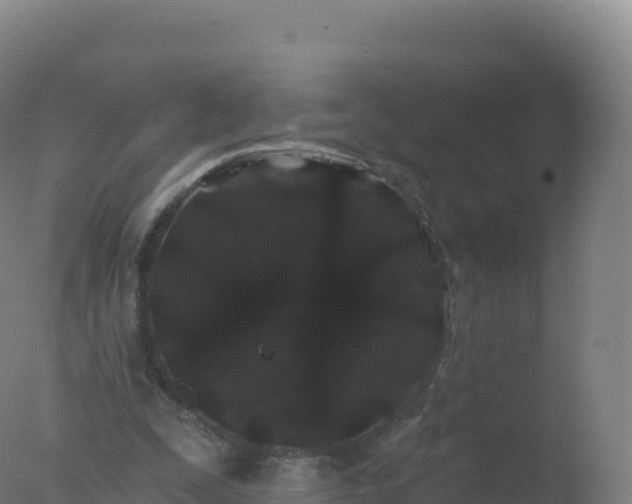 X0000077350295200610271835