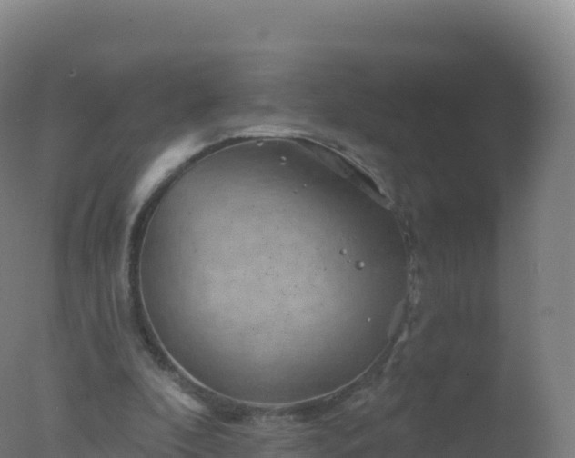 X0000077350296200610271835