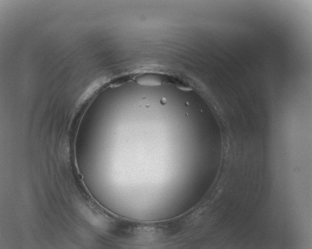 X0000077350298200610271835