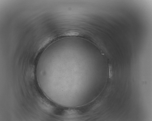 X0000077350300200610271835