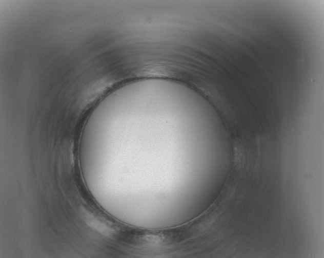 X0000077350302200610271835