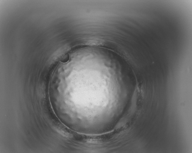 X0000077350303200610271835