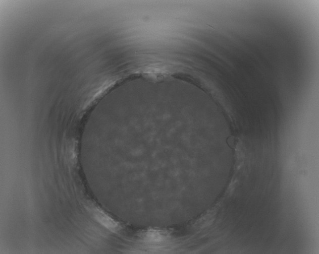 X0000077350305200610271835