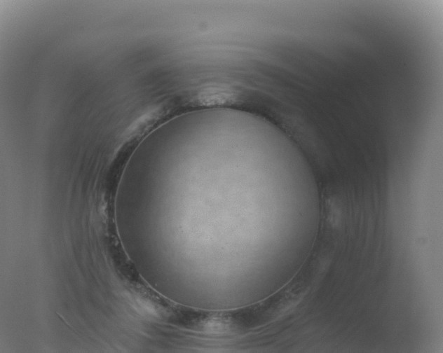 X0000077350308200610271835