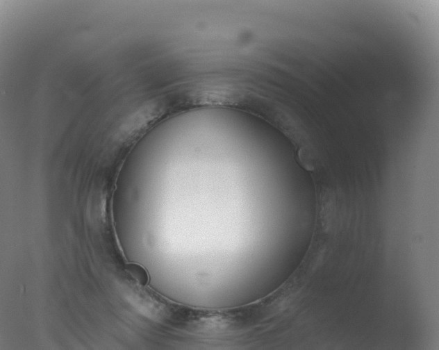 X0000077350310200610271835