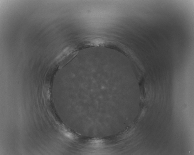 X0000077350313200610271835